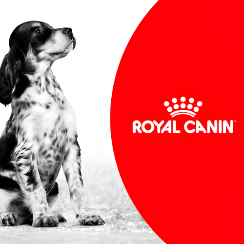 ROYAL CANIN